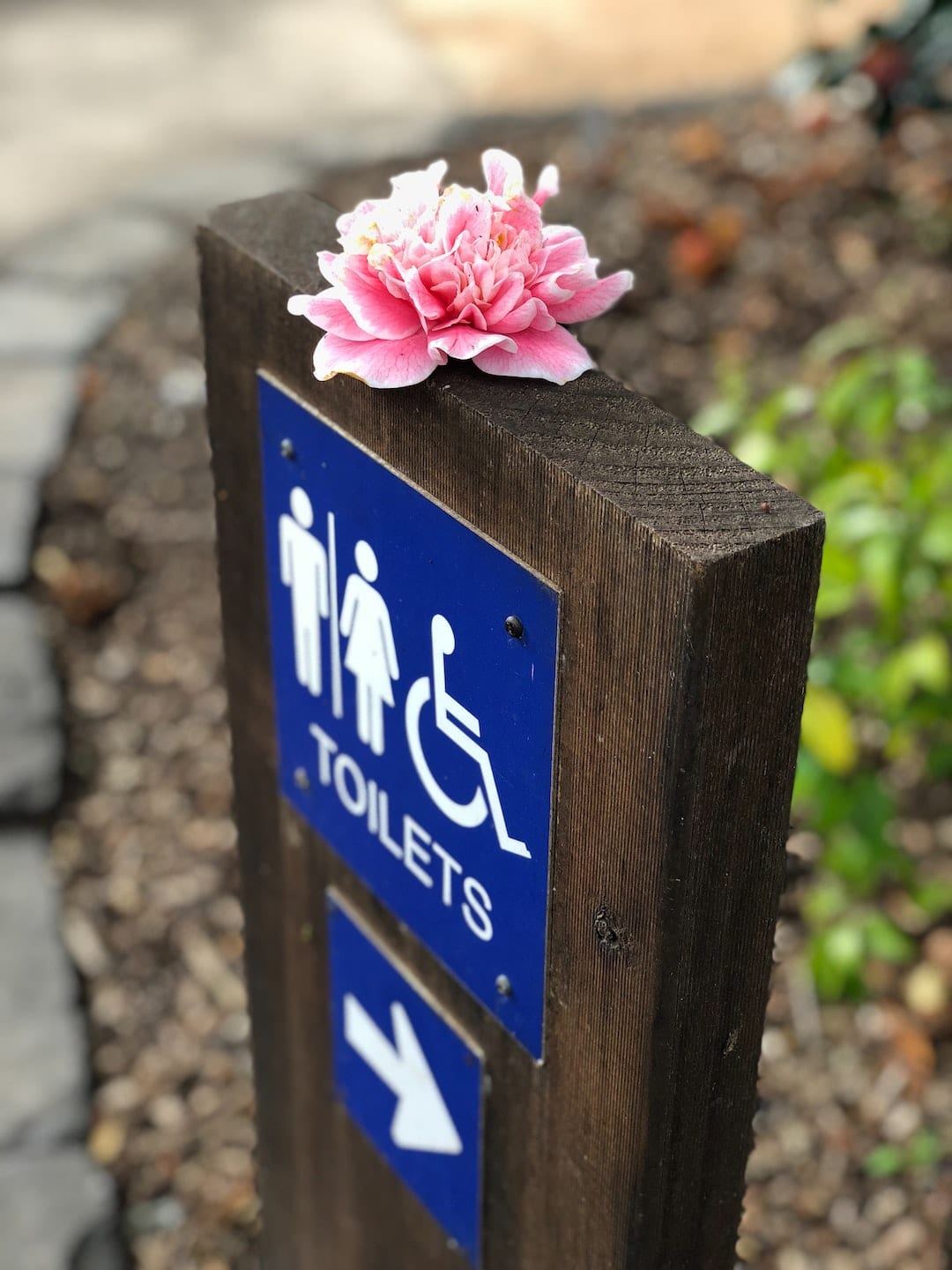 Top Tips for Finding the Best Portable Toilets for Special Events